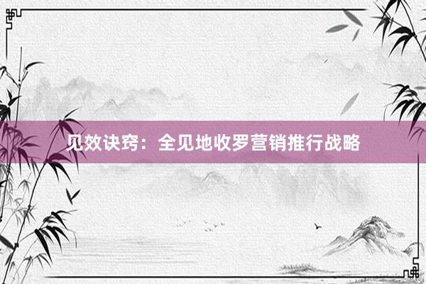 见效诀窍：全见地收罗营销推行战略