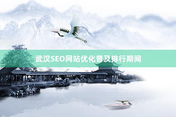 武汉SEO网站优化普及排行期间