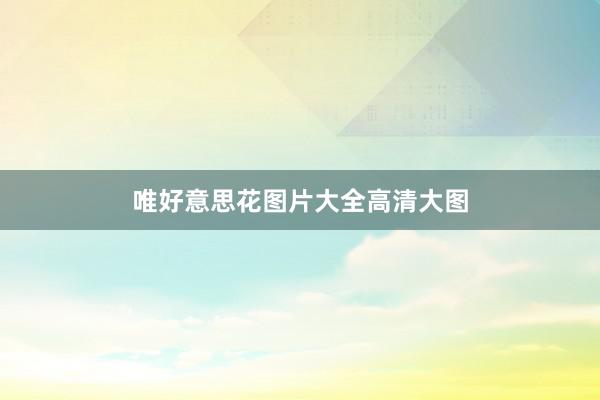 唯好意思花图片大全高清大图